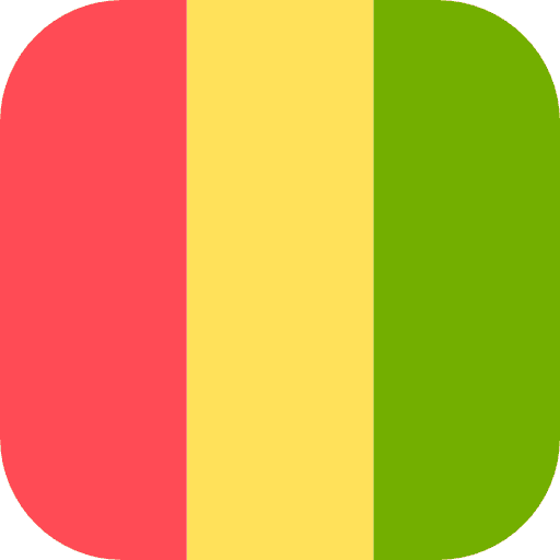 Guinea flag
