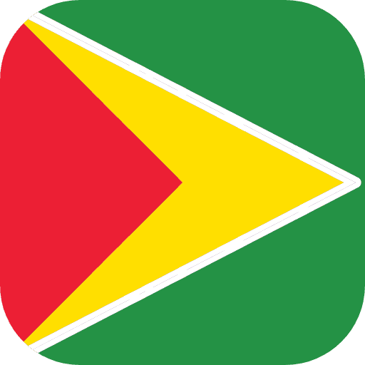 Guyana flag