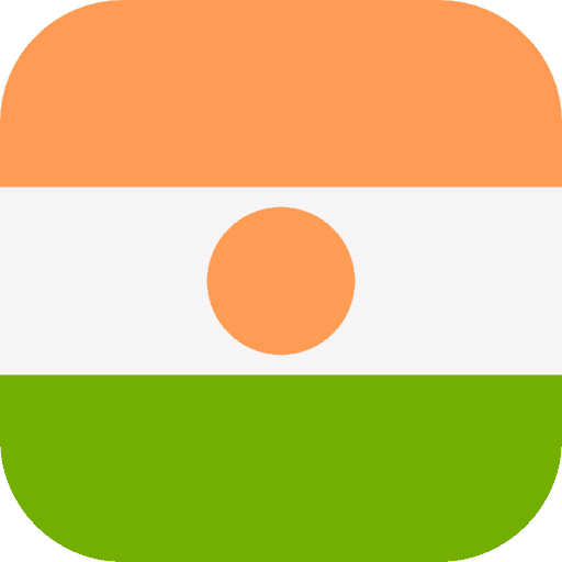 Niger flag