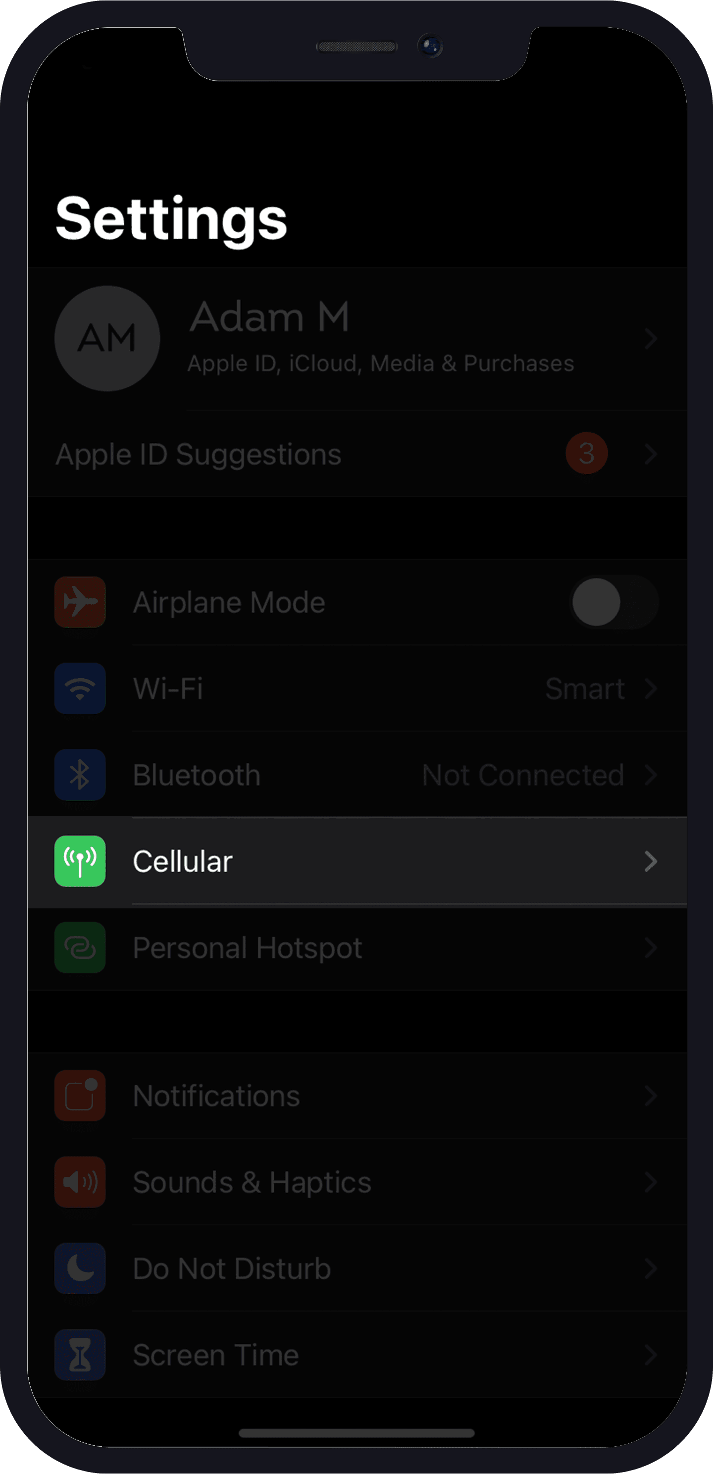01 (6) data roaming- iphone
