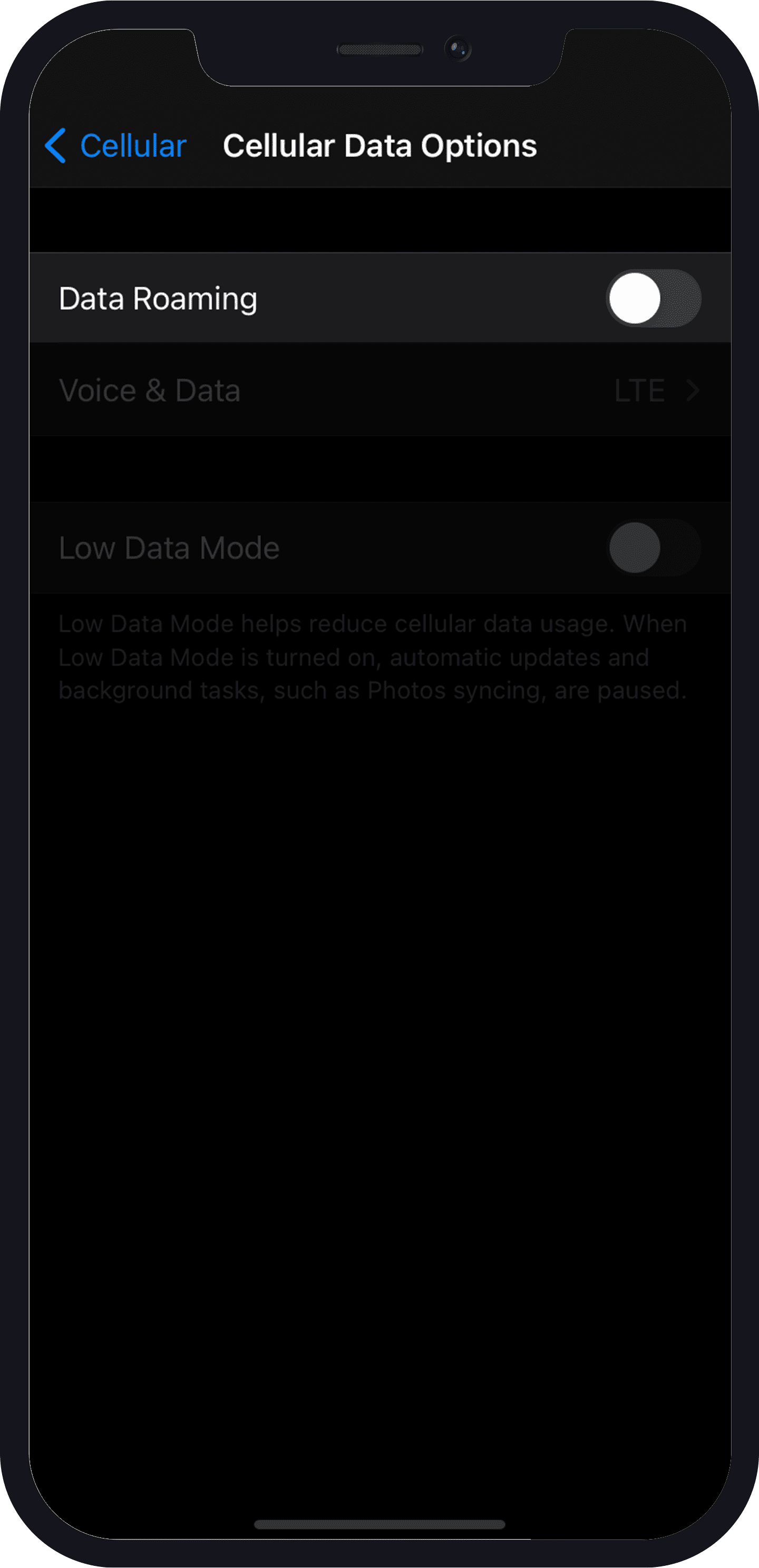 03 (5) what is data roaming - iphone
