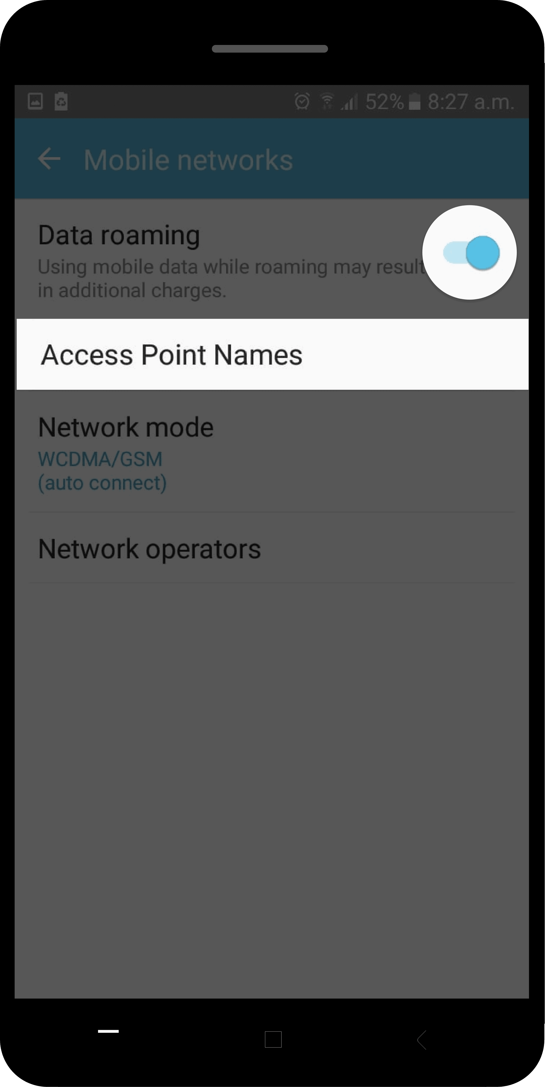 access points names