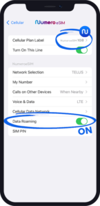 esim data