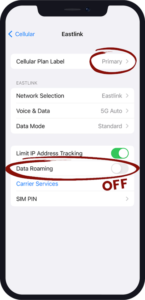 esim data 