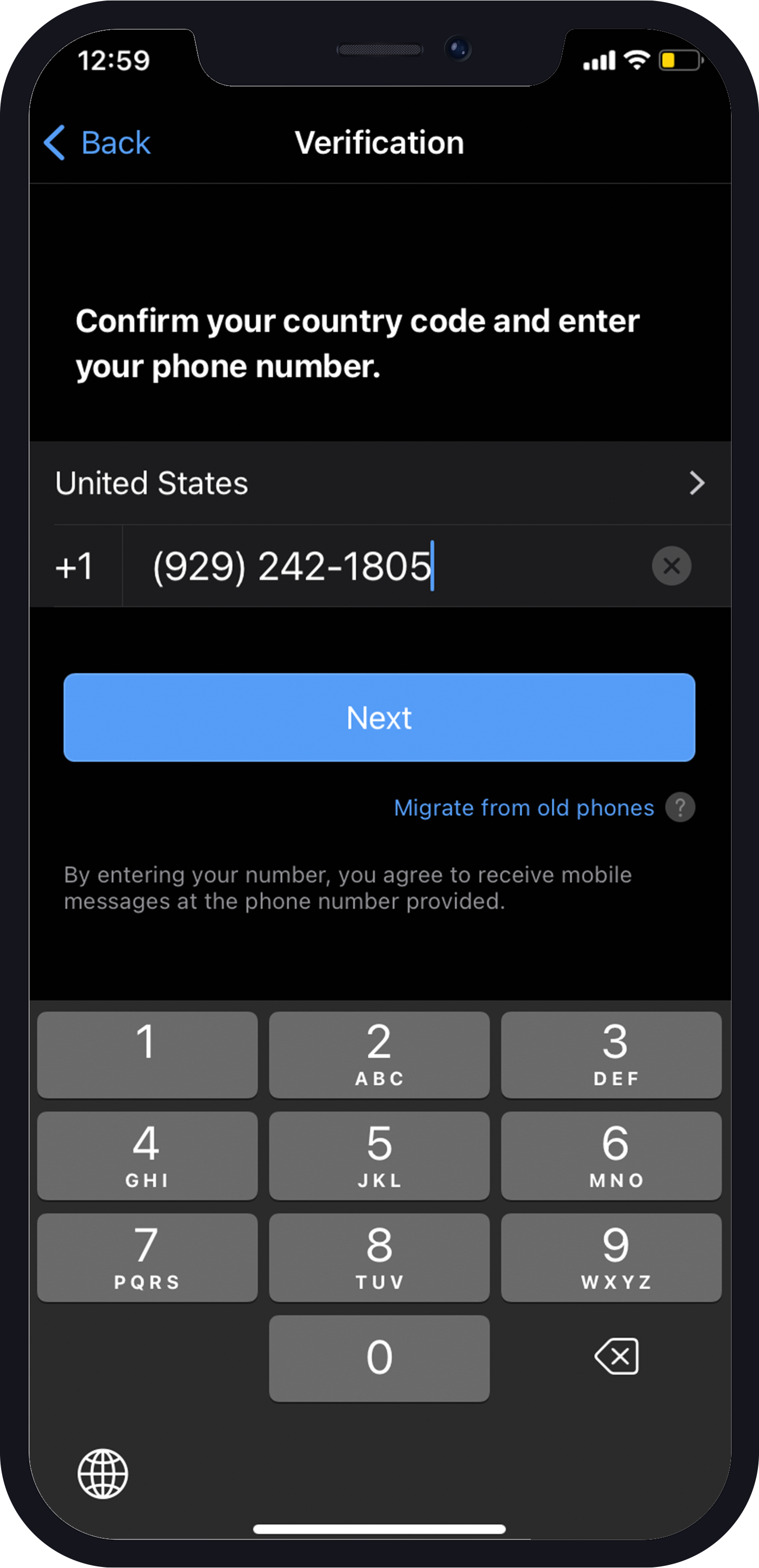 virtual number for Botim