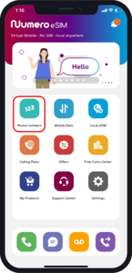 virtual french number